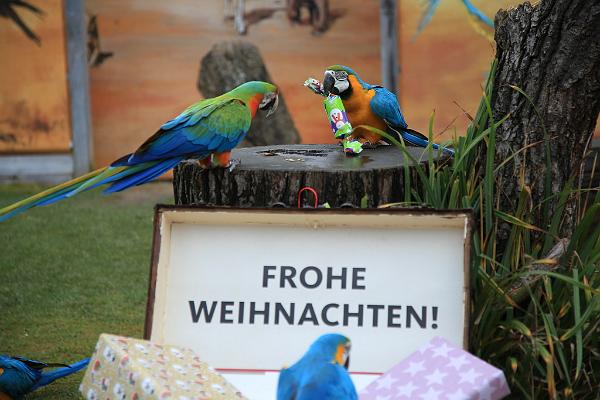 2015-12-21 08-47-30.JPG